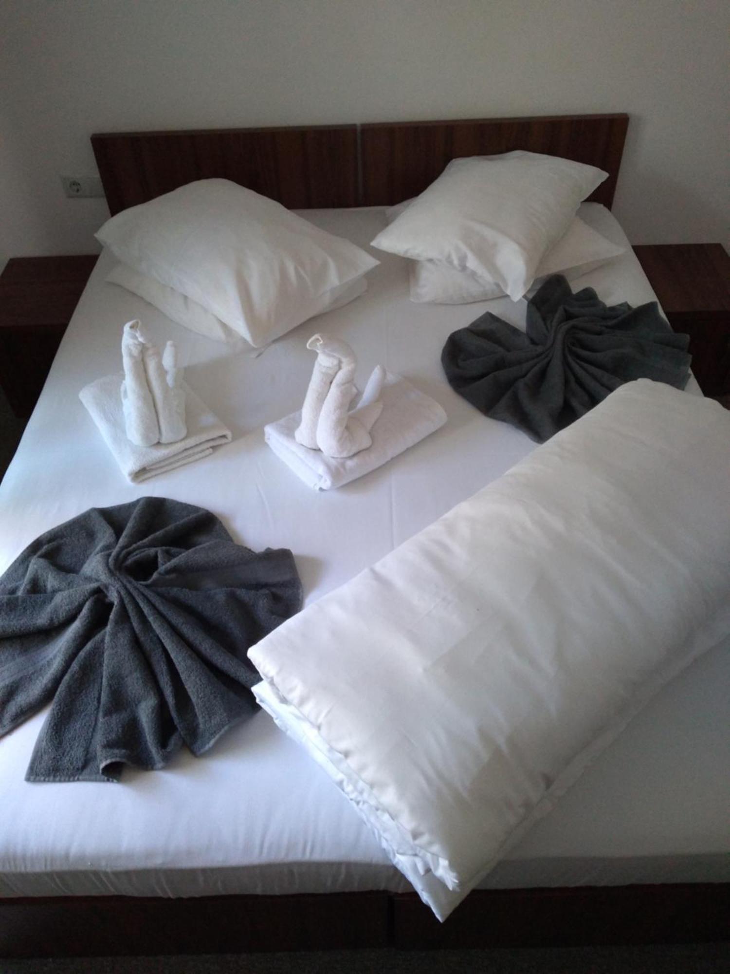 Pensiunea Floare De Colt Hotel Baile Herculane Ruang foto