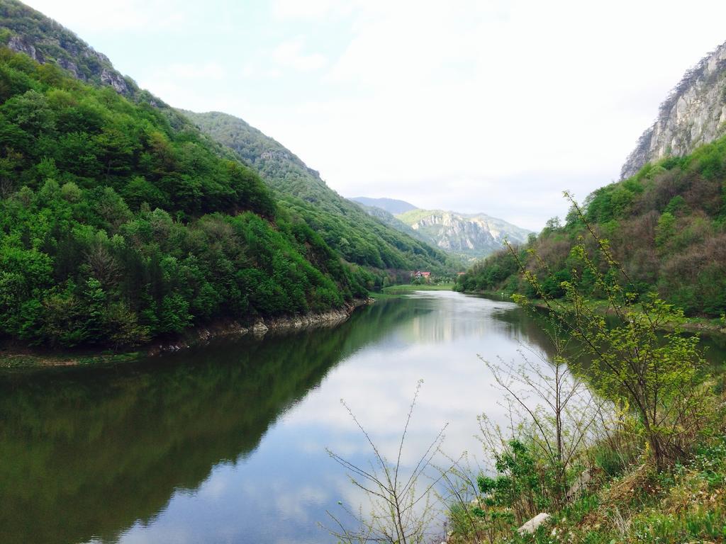 Pensiunea Floare De Colt Hotel Baile Herculane Bagian luar foto