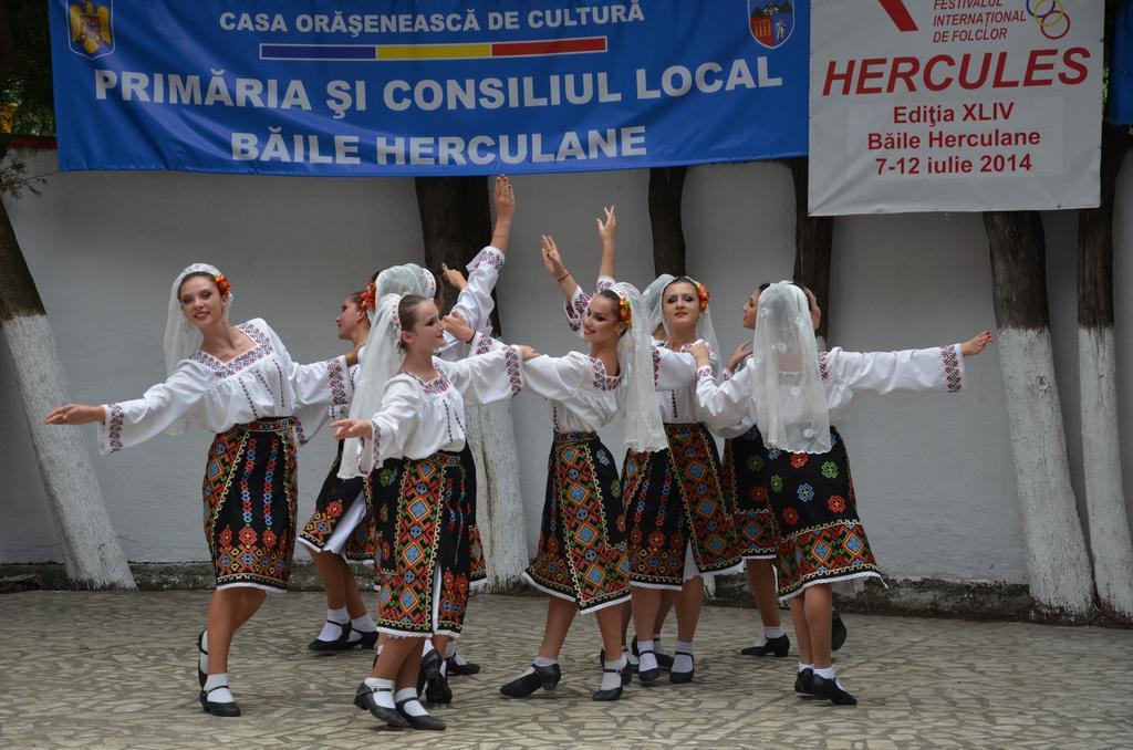 Pensiunea Floare De Colt Hotel Baile Herculane Bagian luar foto
